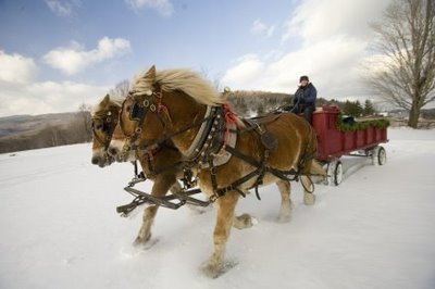 sleigh ride images