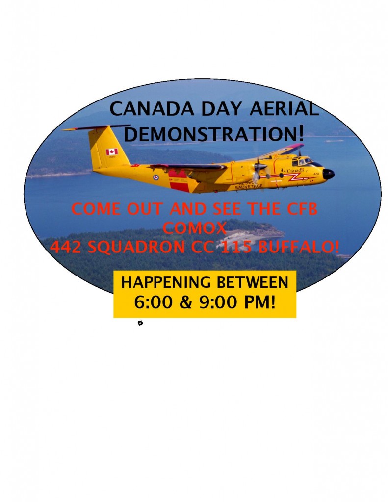 2014 Airshow Flyer 3-page-001